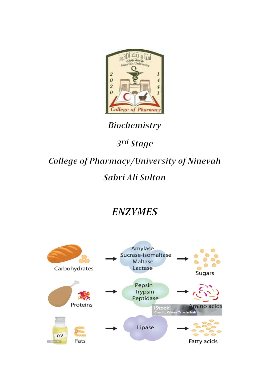 غلاف تقرير ENZYMES (Biochemistry)