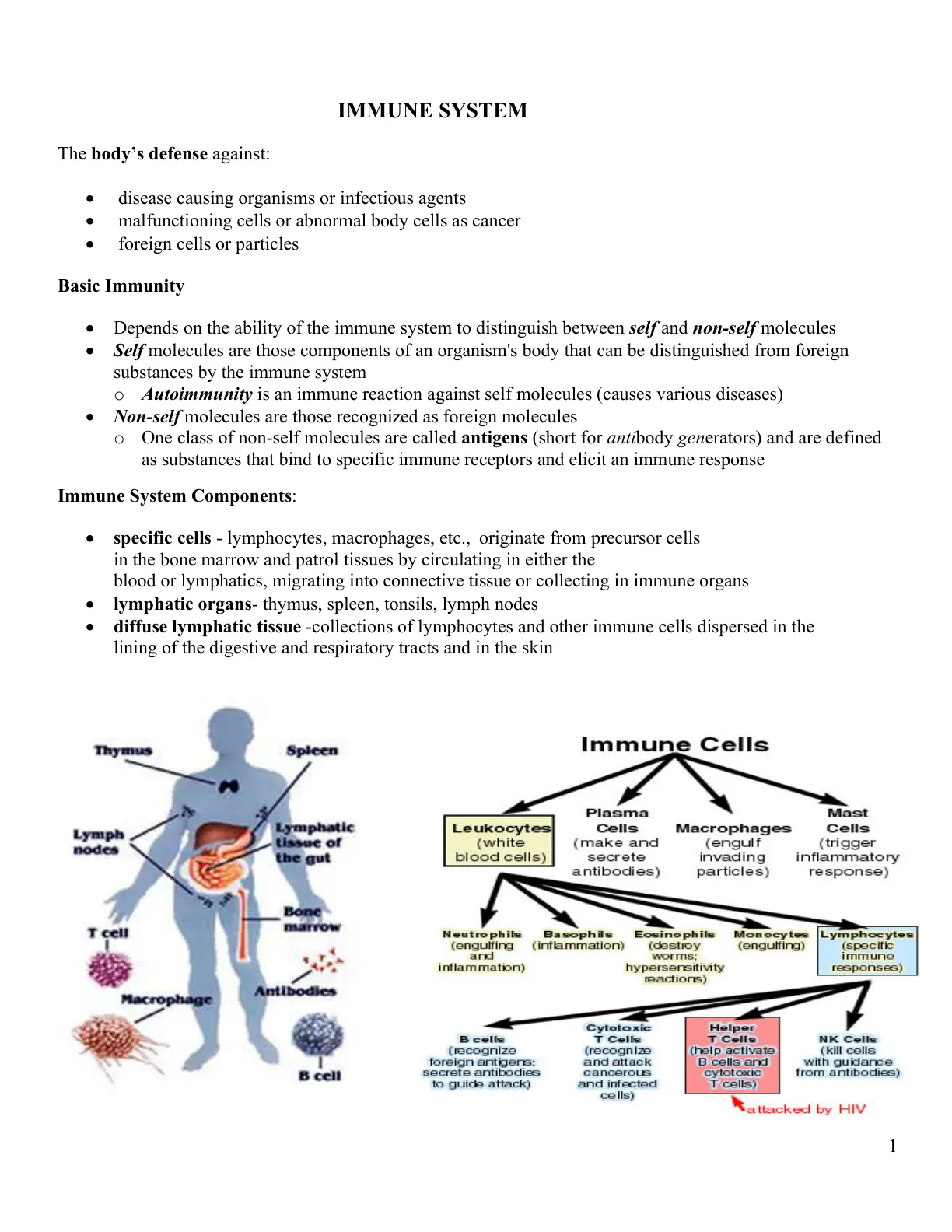 غلاف تقرير IMMUNE SYSTEM