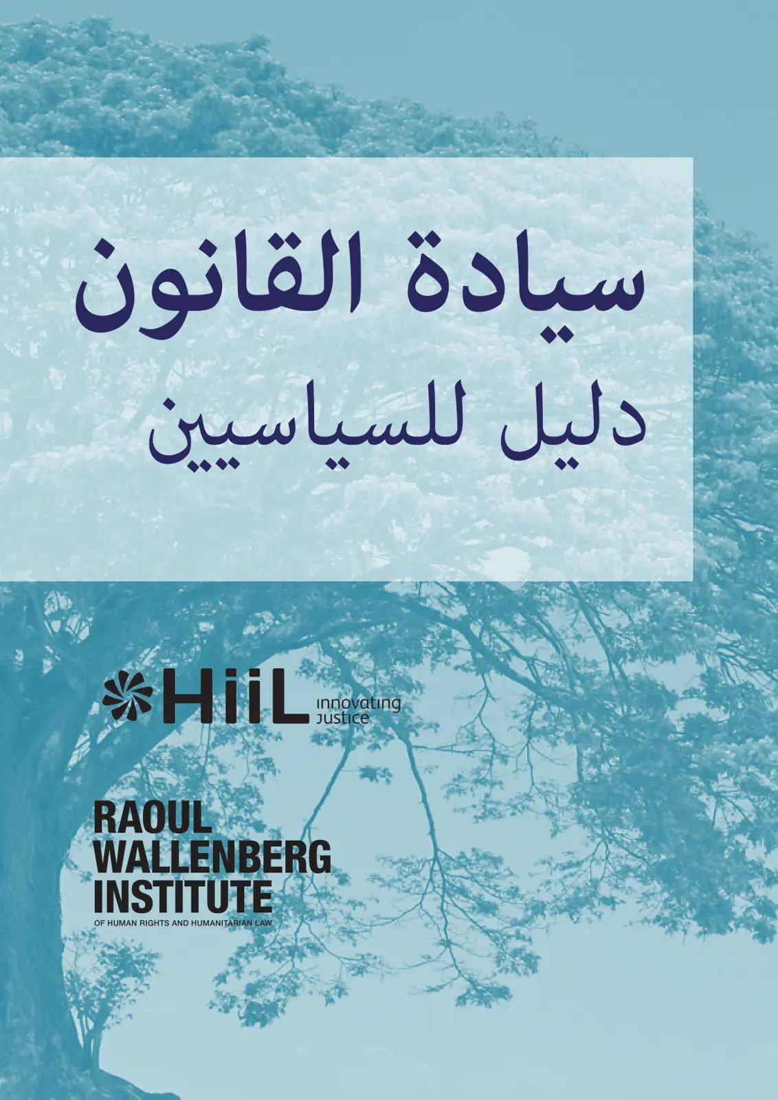 غلاف تقرير سيادة القانون دليل للسياسيين