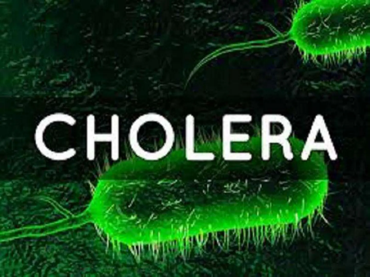 غلاف تقرير CHOLERA