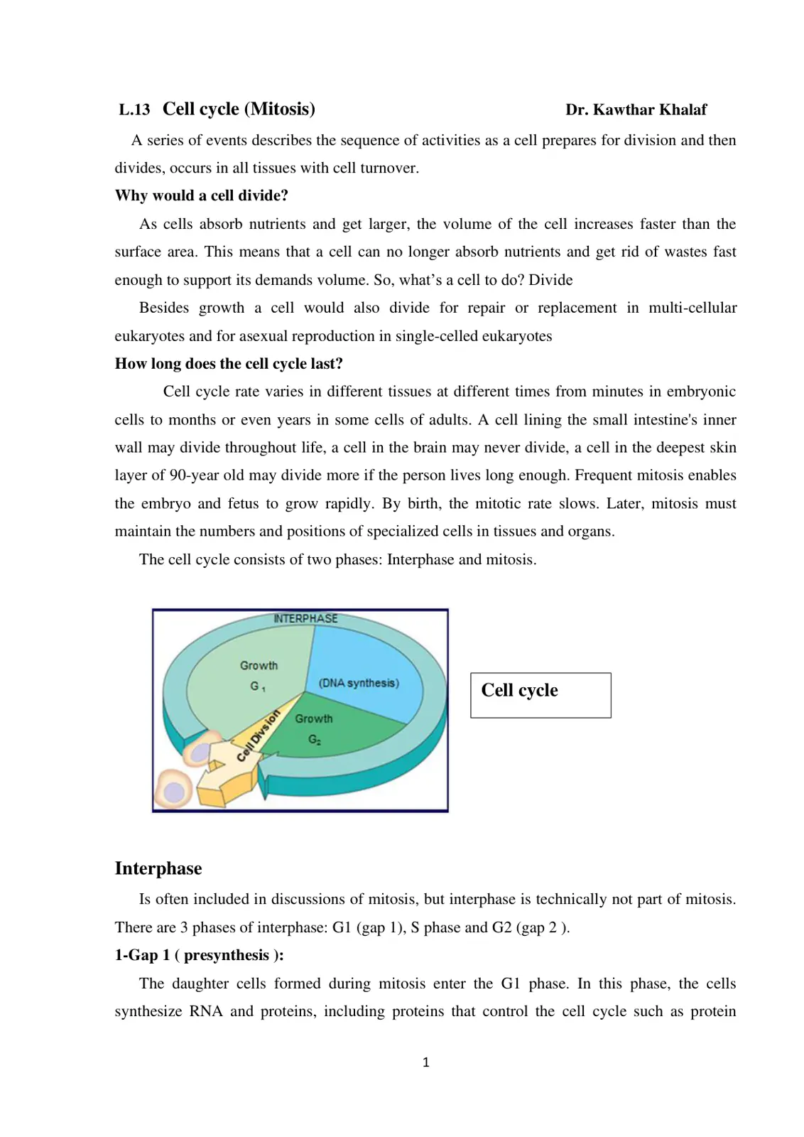 غلاف تقرير L.13 Cell cycle (Mitosis)