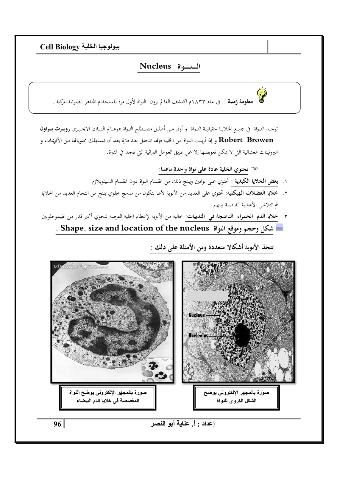 غلاف تقرير بيولوجيا الخلية – النواة