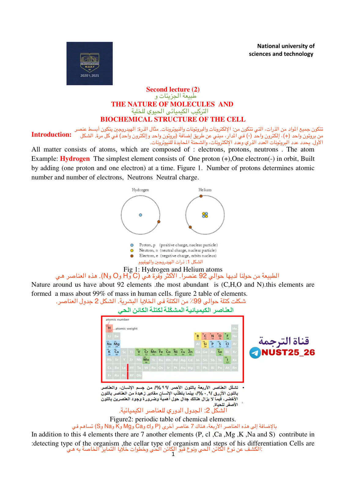 غلاف تقرير The Nature of Molecules and Biochemical Structure of the Cell