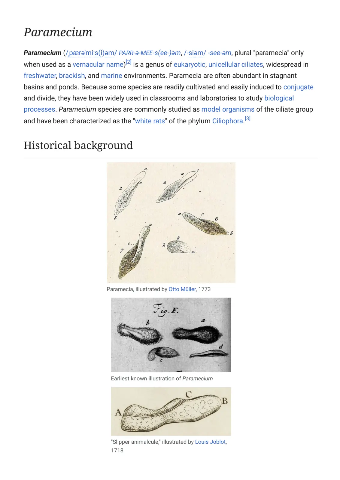 غلاف تقرير Paramecium