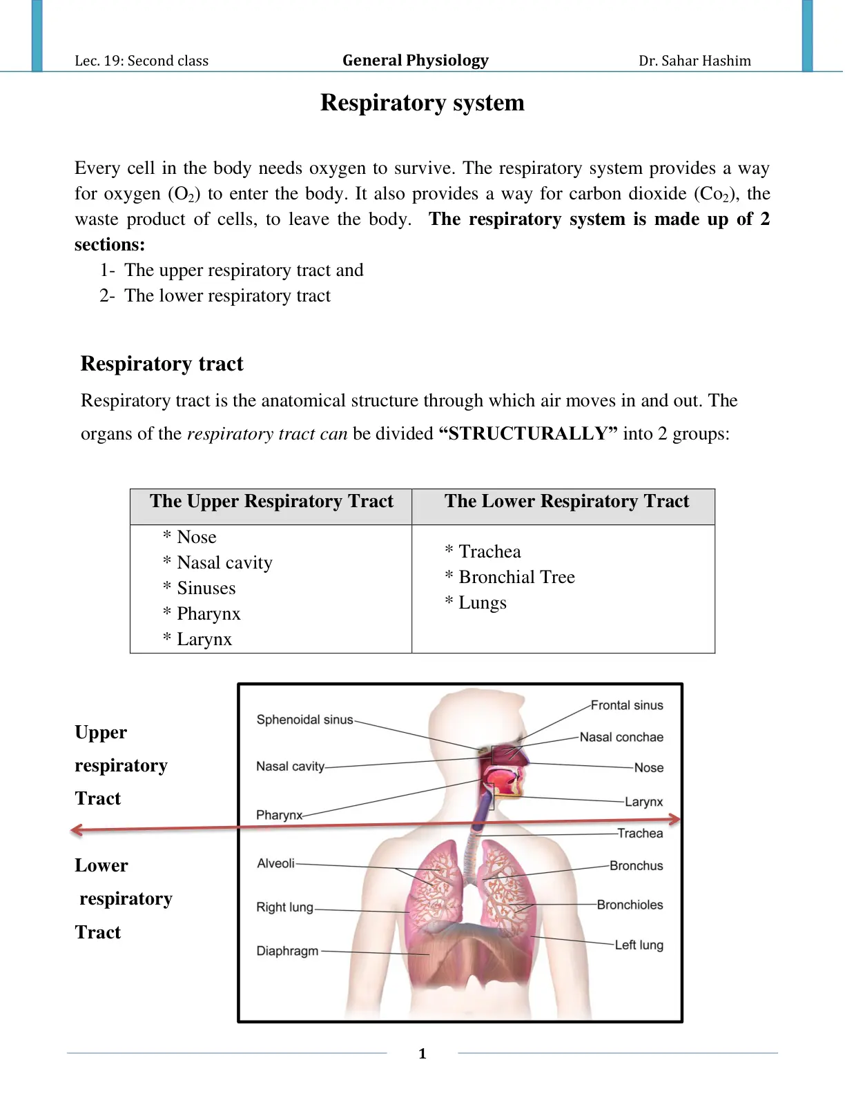 غلاف تقرير General Physiology Respiratory system