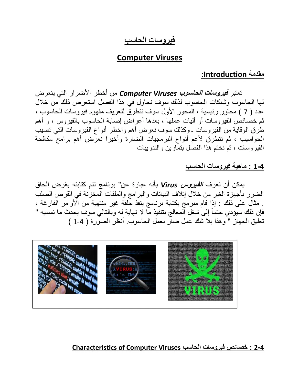 غلاف تقرير فيروسات الحاسب