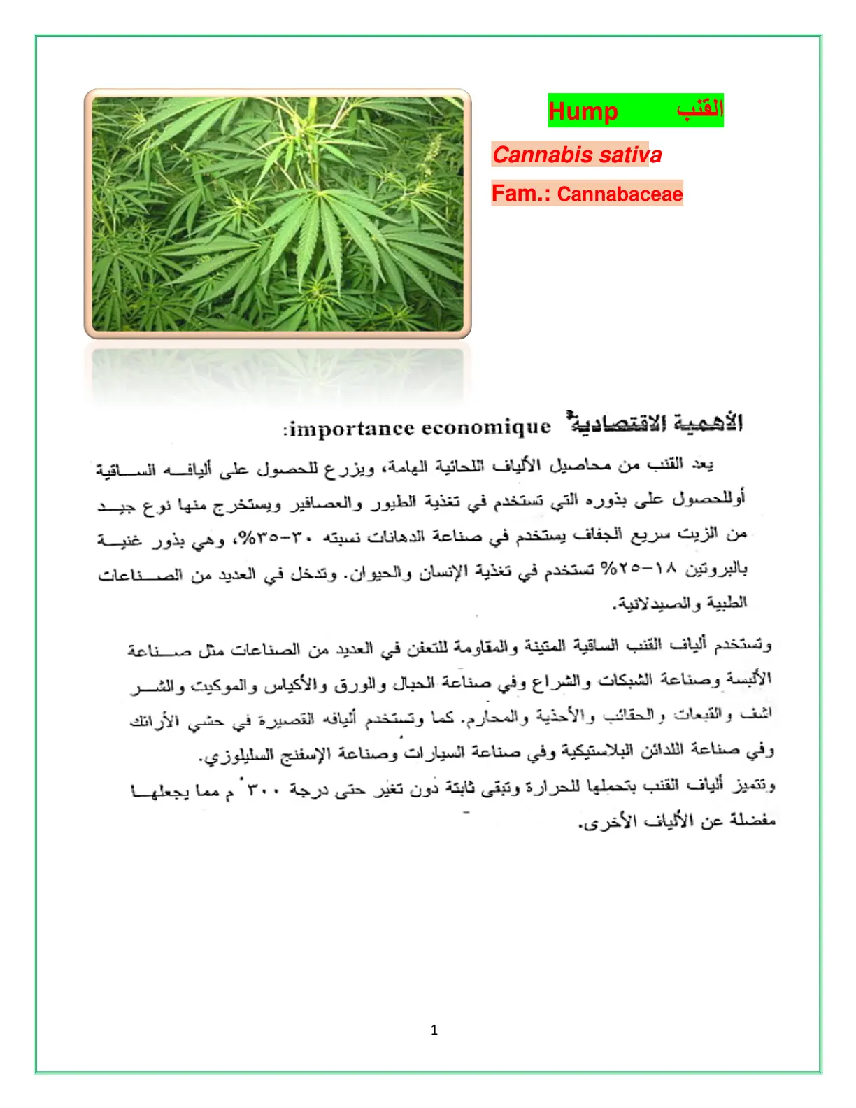 غلاف تقرير Cannabis sativa الأهمية الاقتصادية