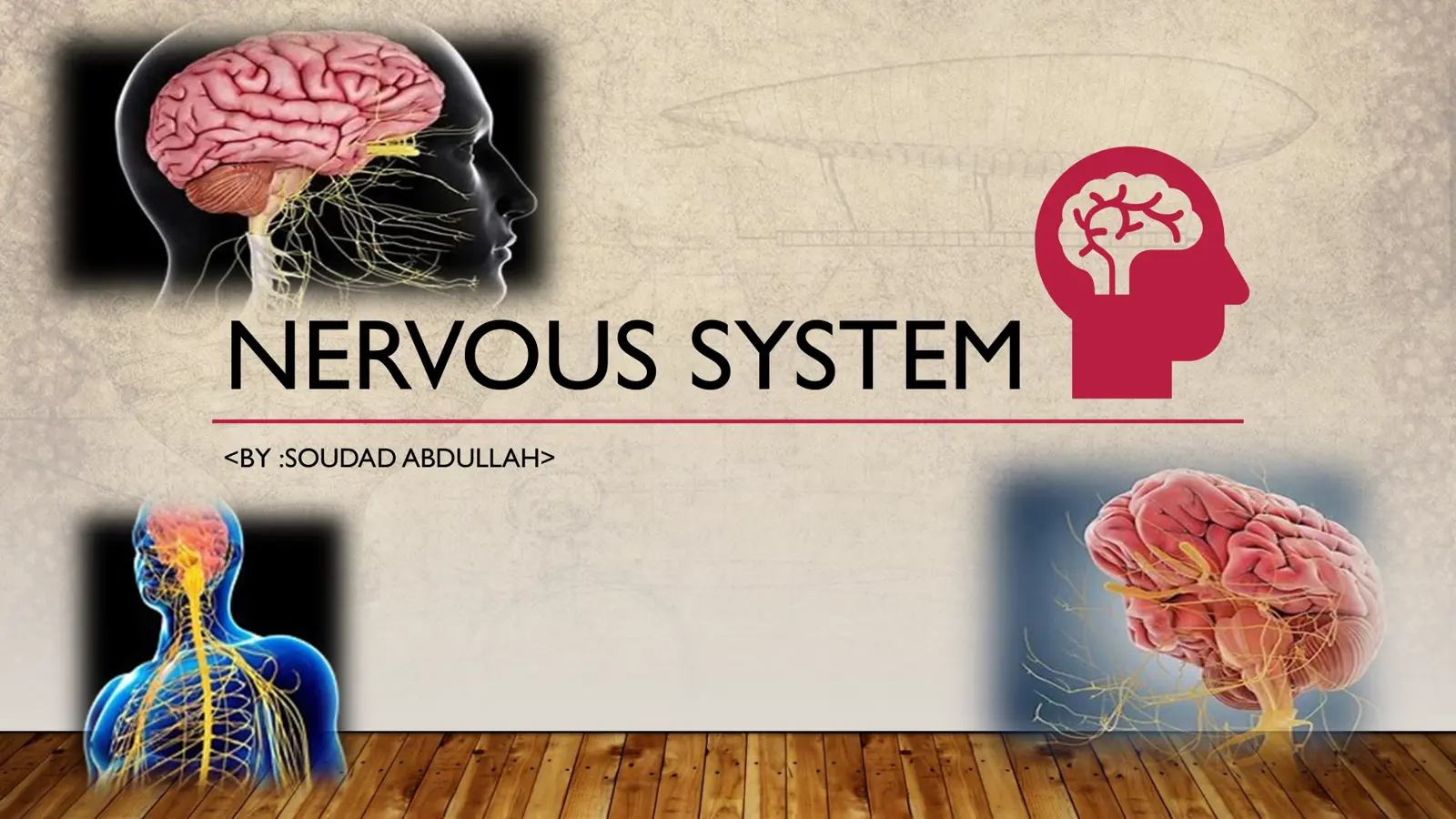 غلاف تقرير NERVOUS SYSTEM