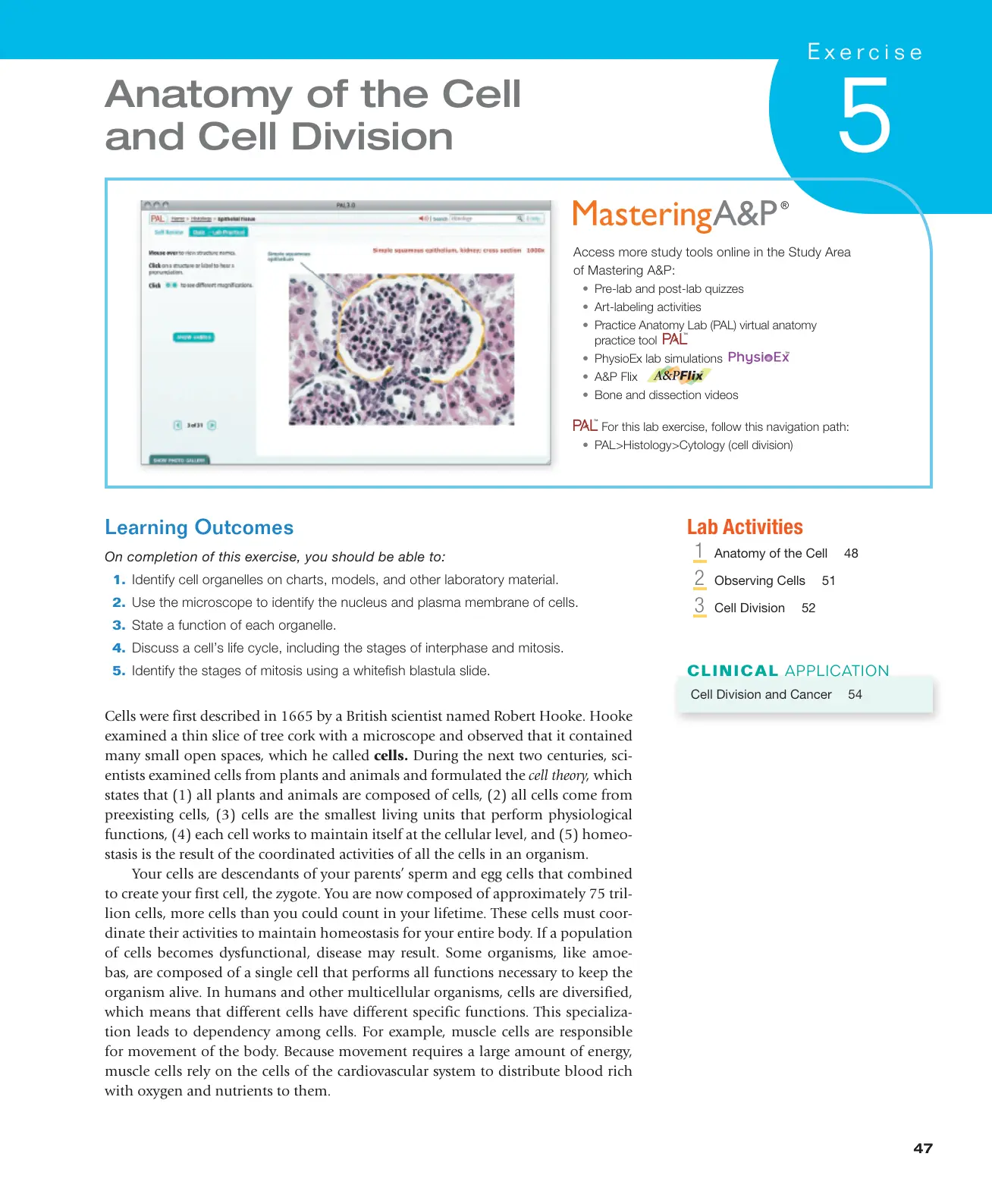 غلاف تقرير Anatomy of the Cell and Cell Division