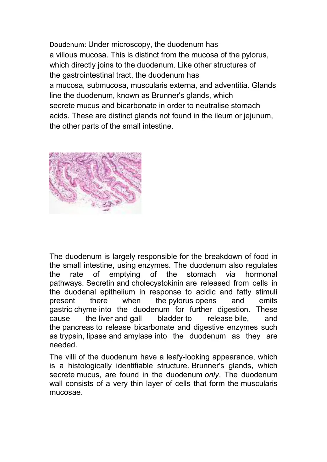 غلاف تقرير Doudenum