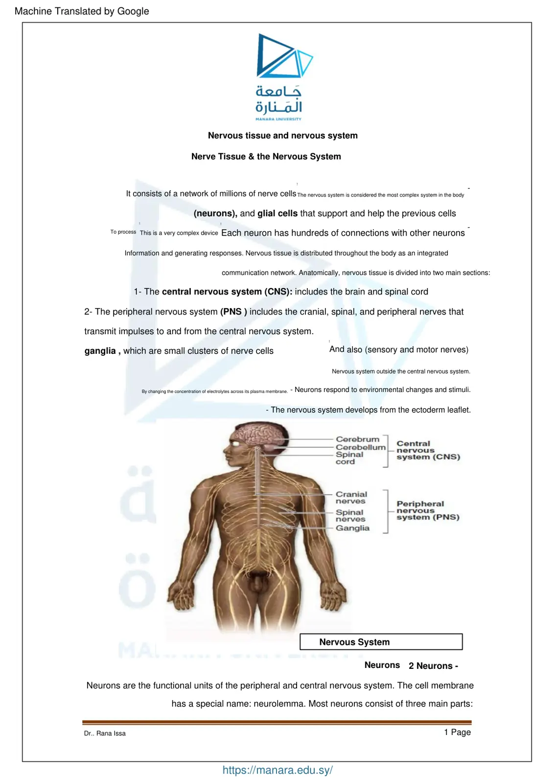 غلاف تقرير Nervous tissue and nervous system