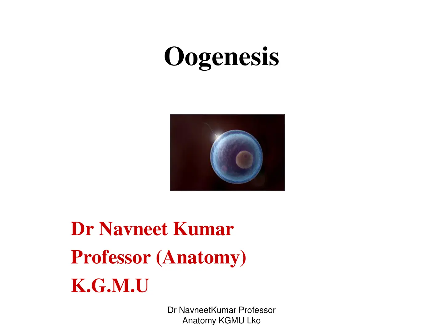 غلاف تقرير Oogenesis
