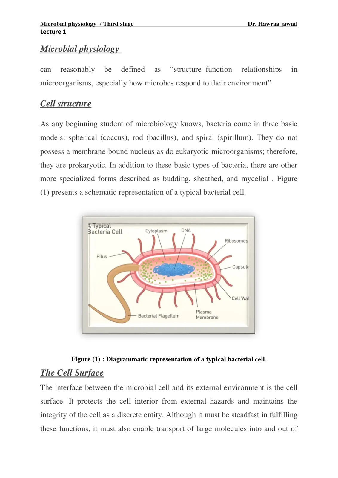 غلاف تقرير Microbial Physiology - Lecture 1