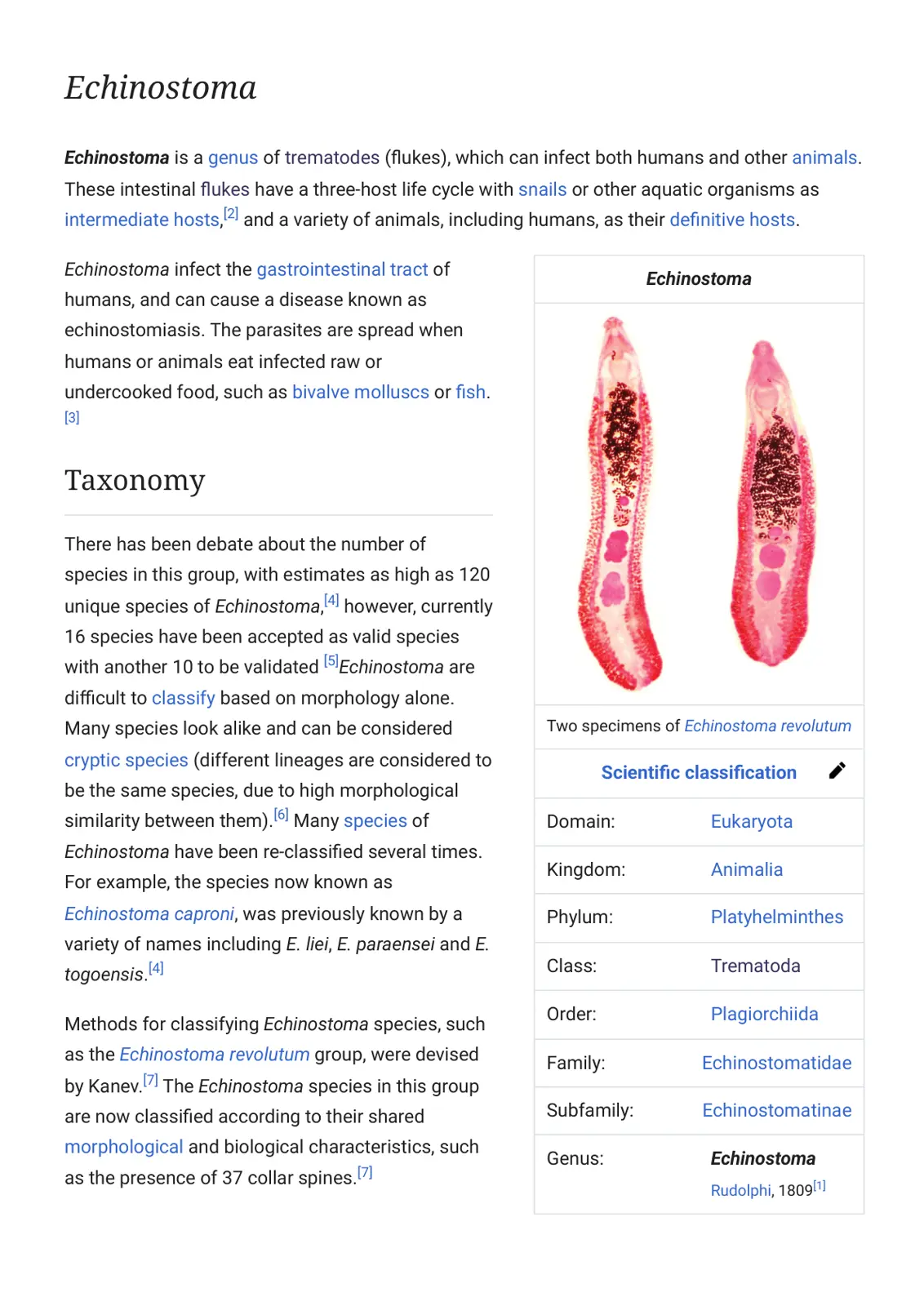 غلاف تقرير Echinostoma