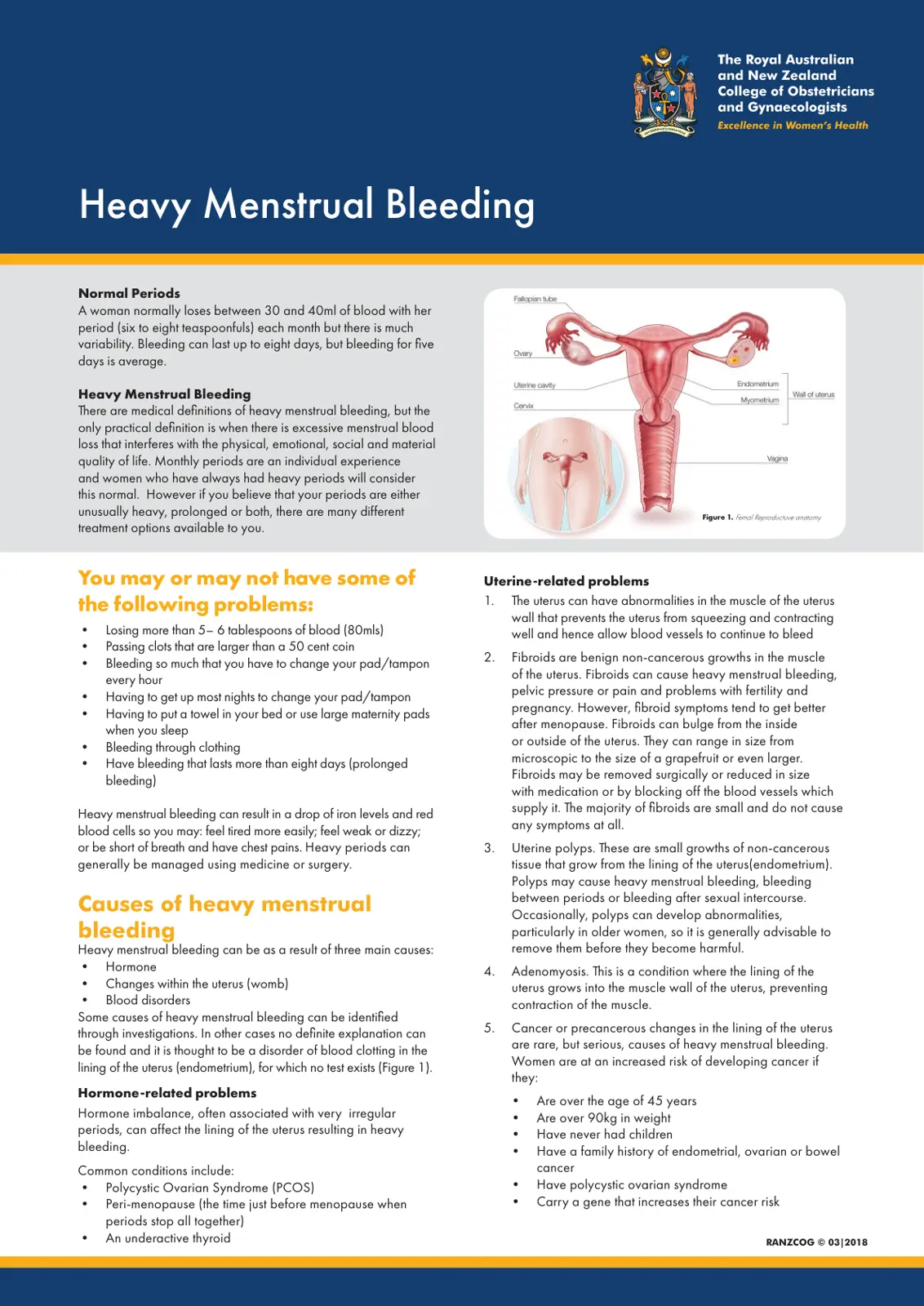 غلاف تقرير Heavy Menstrual Bleeding – RANZCOG Clinical Guidance
