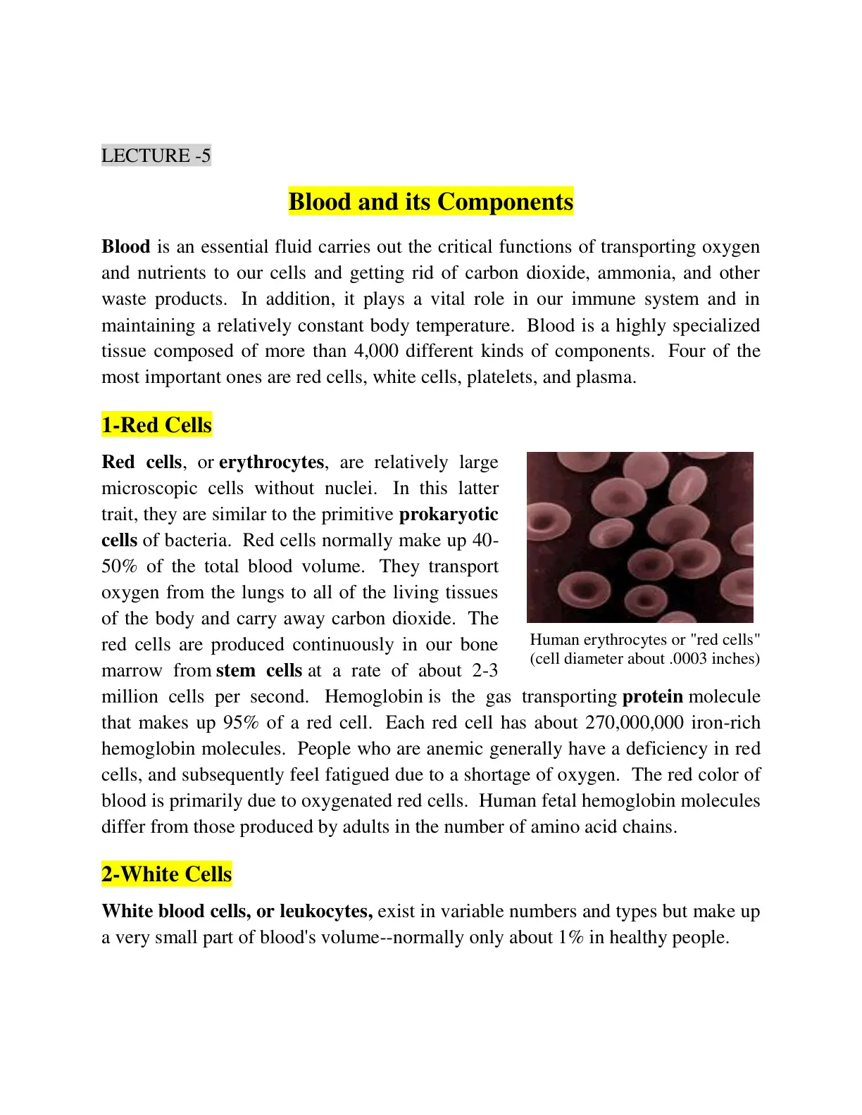 غلاف تقرير Blood and its Components