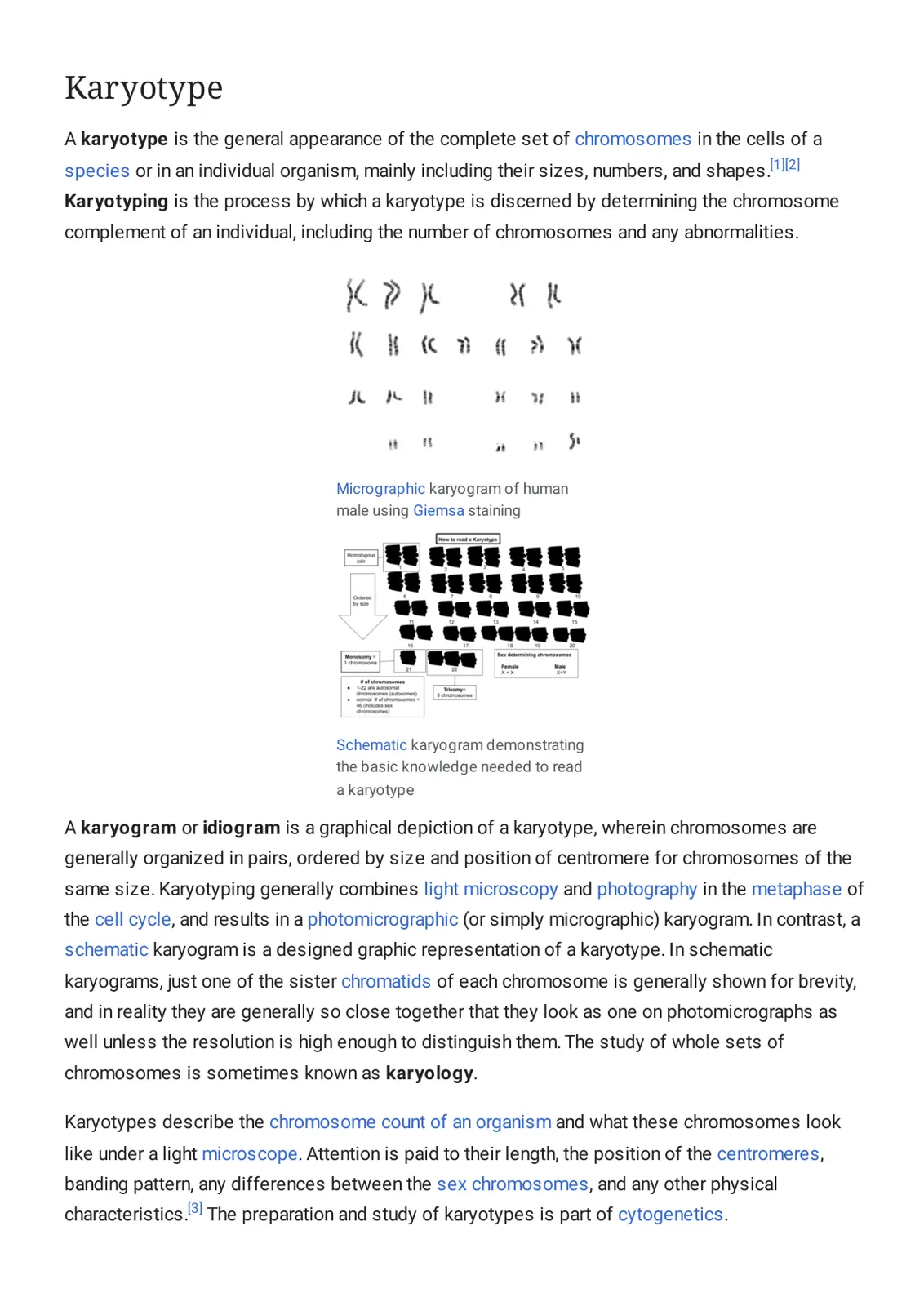 غلاف تقرير Karyotype