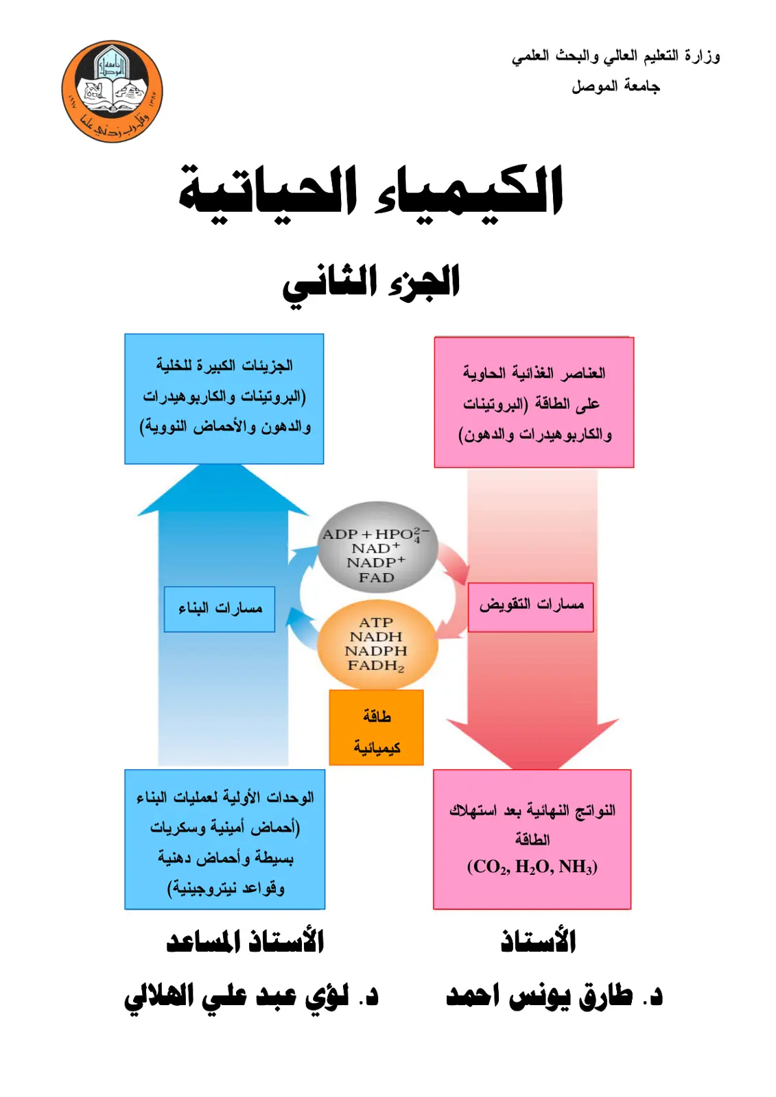 غلاف تقرير العناصر الغذائية الحاوية على الطاقة (البروتينات والكاربوهيدرات والدهون) والجزيئات الكبيرة للخلية والبروتينات والدهون والأحماض النووية)