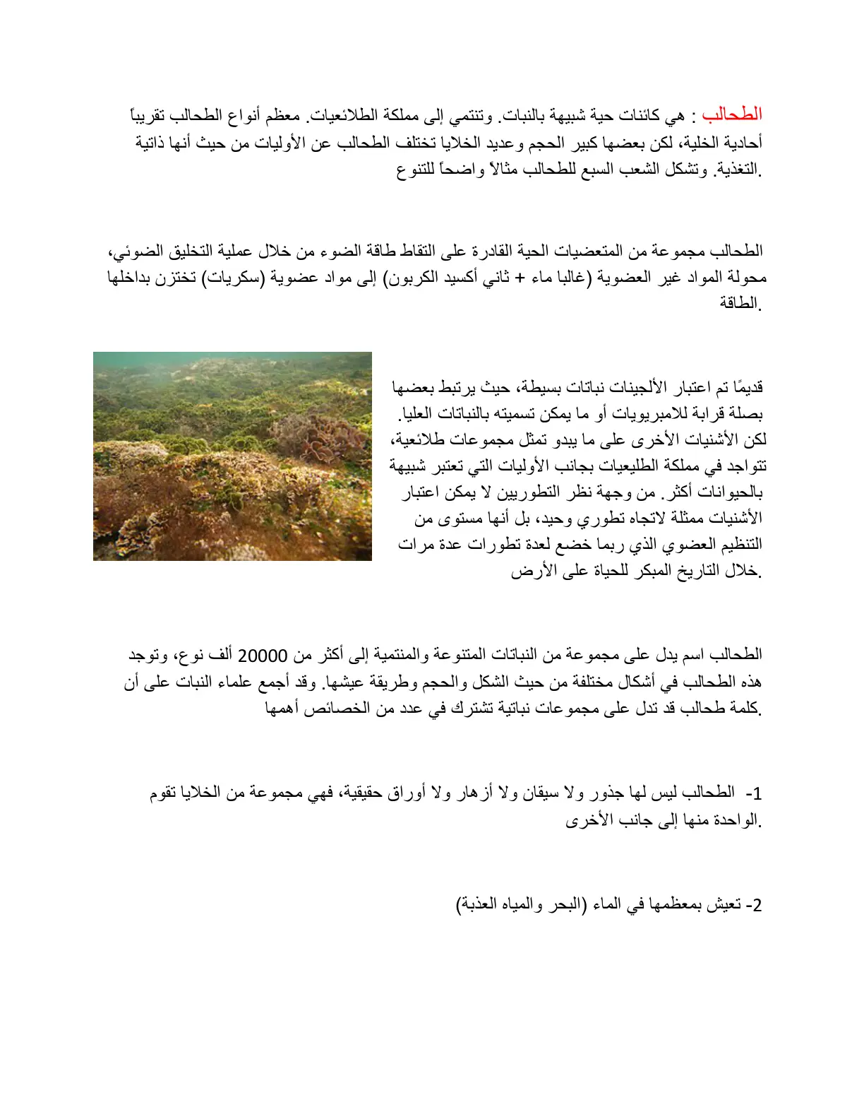 غلاف تقرير الطحالب