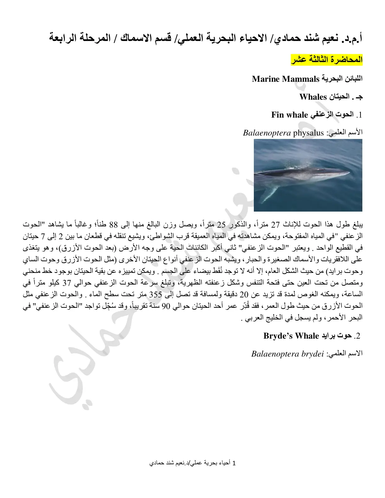غلاف تقرير اللبائن البحرية - المحاضرة الثالثة عشر