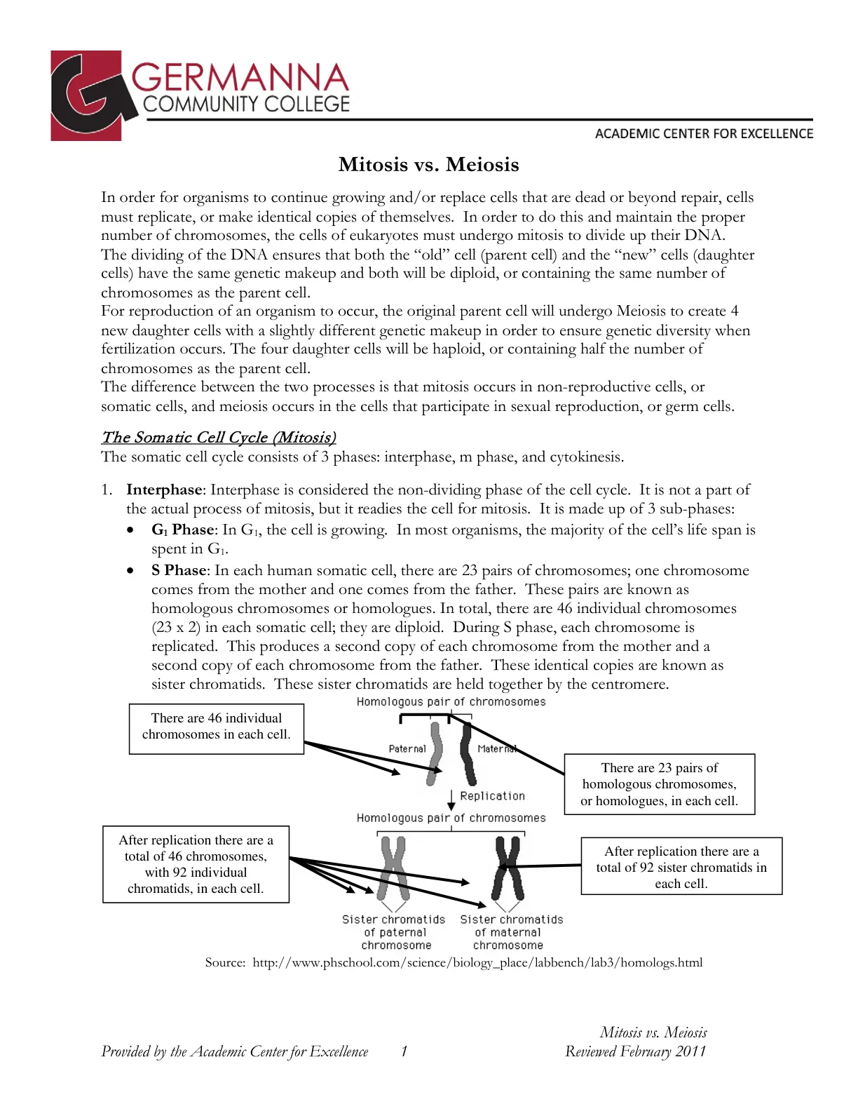 غلاف تقرير Mitosis vs. Meiosis