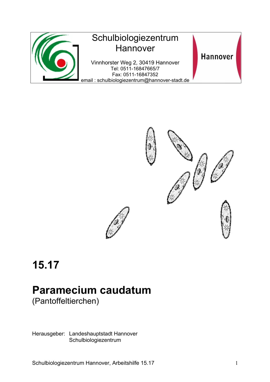 غلاف تقرير Paramecium caudatum (Pantoffeltierchen)