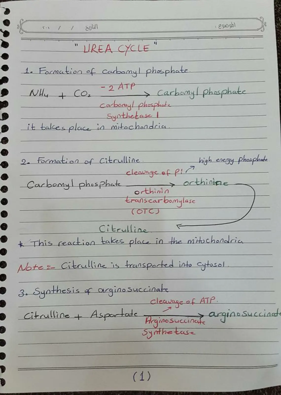 غلاف تقرير UREA CYCLE