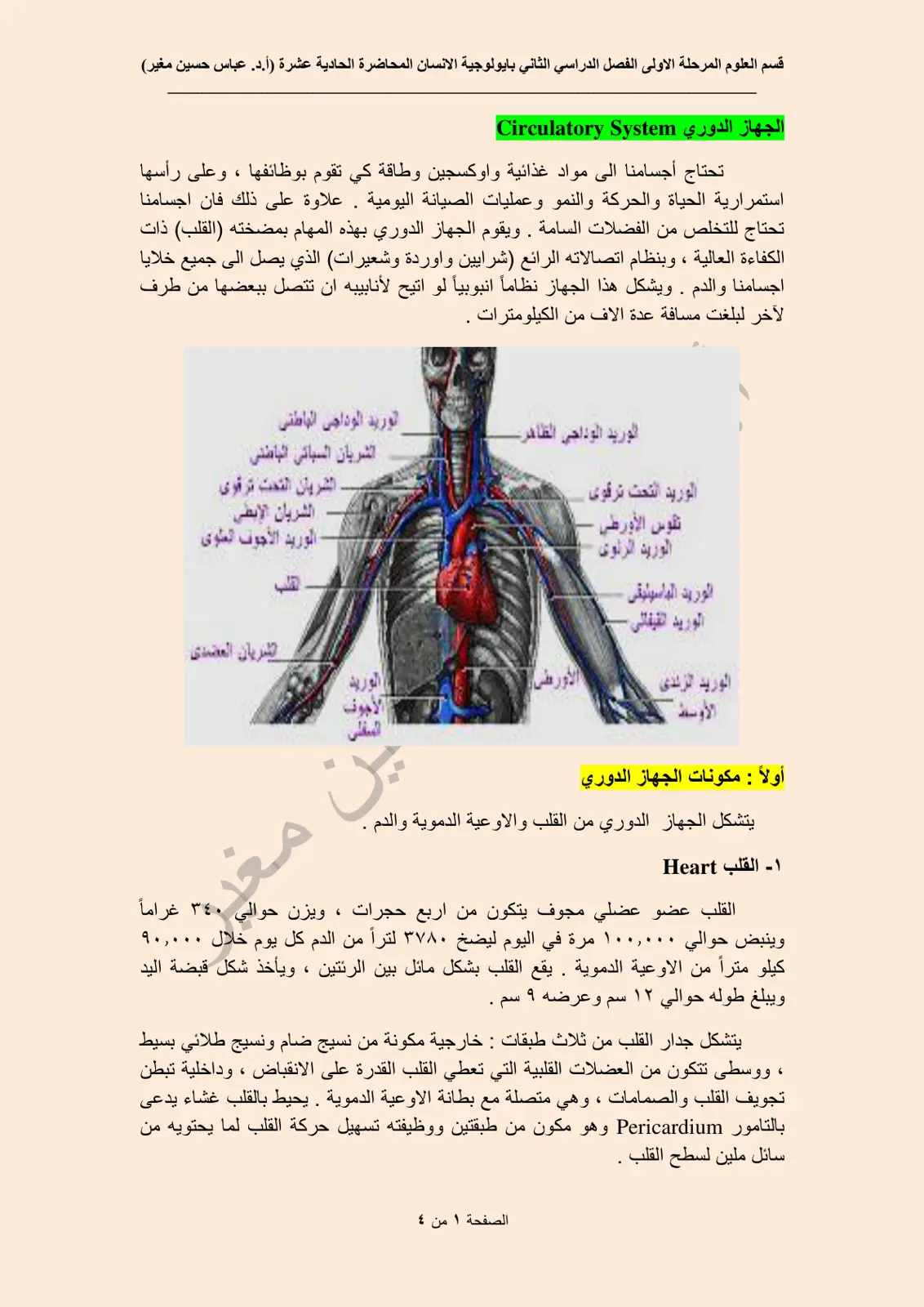غلاف تقرير الجهاز الدوري Circulatory System