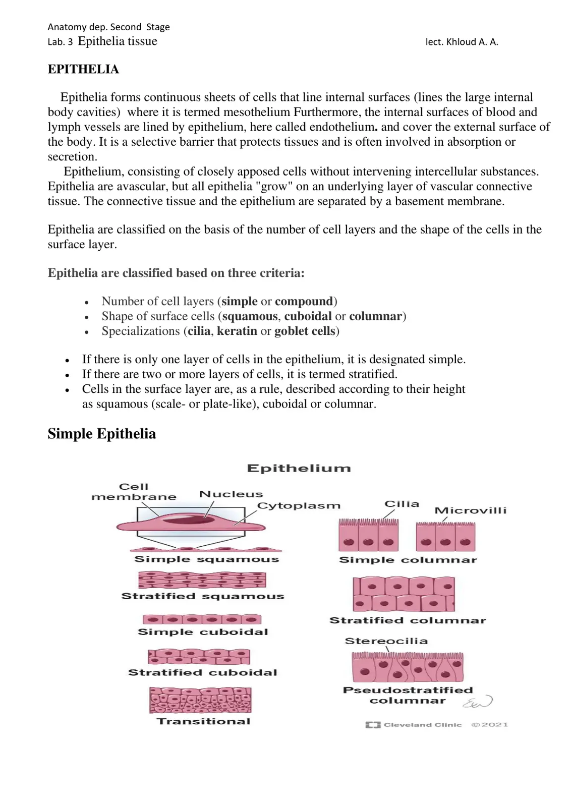 غلاف تقرير Lab 3 Epithelia Tissue