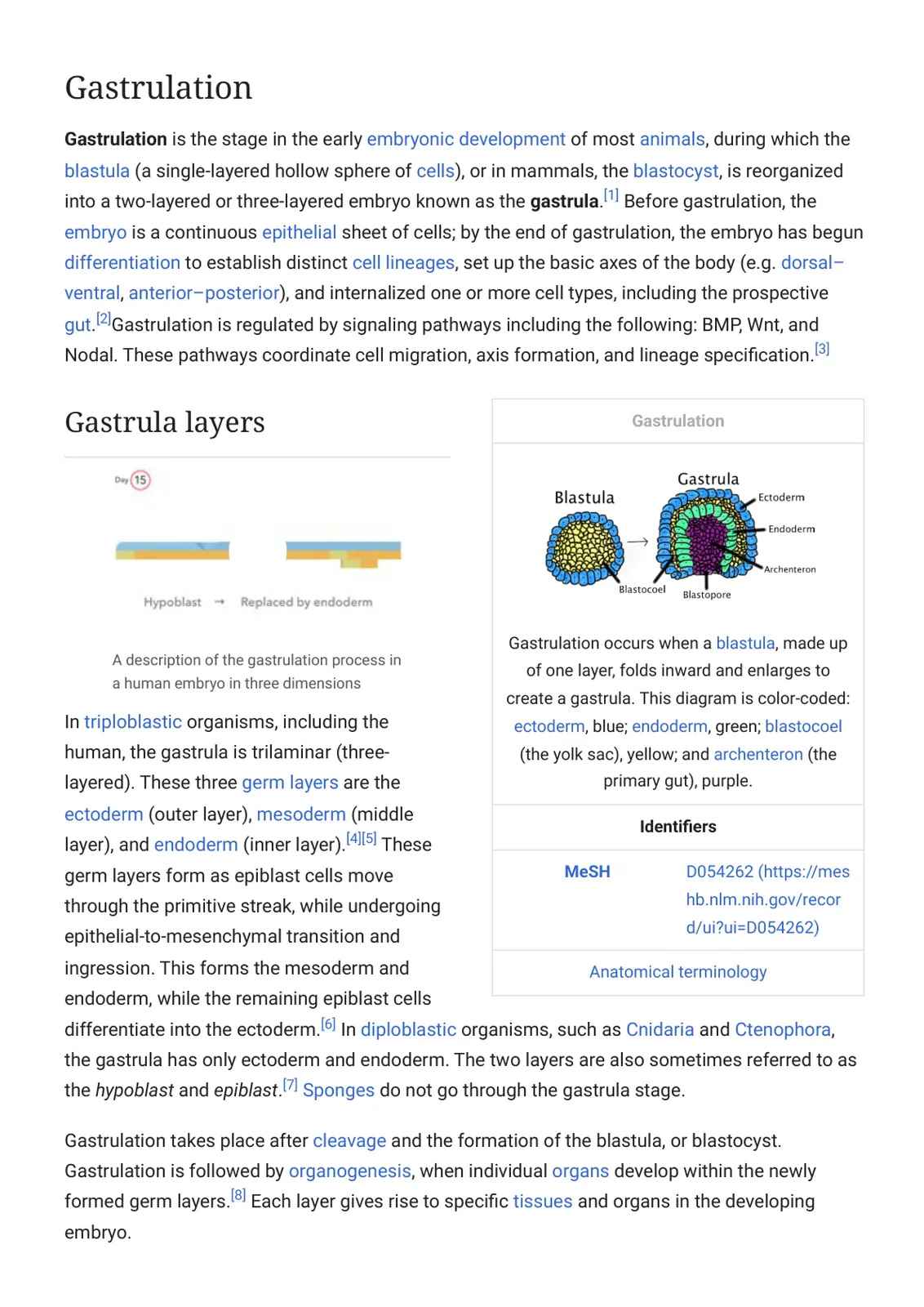 غلاف تقرير Gastrulation