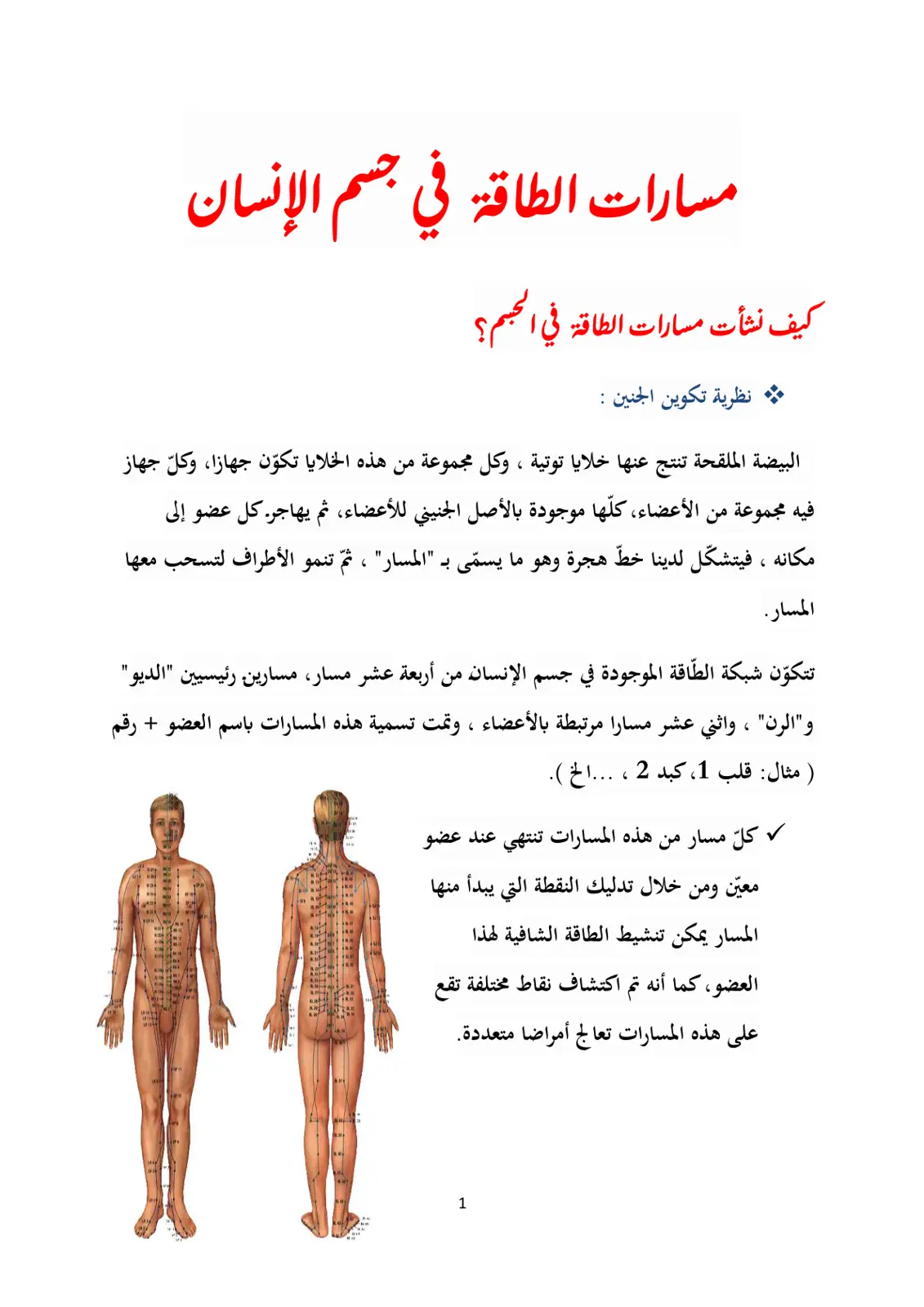 غلاف تقرير مسارات الطاقة في جسم الإنسان: كيف نشأت مسارات الطاقة في الجسم؟