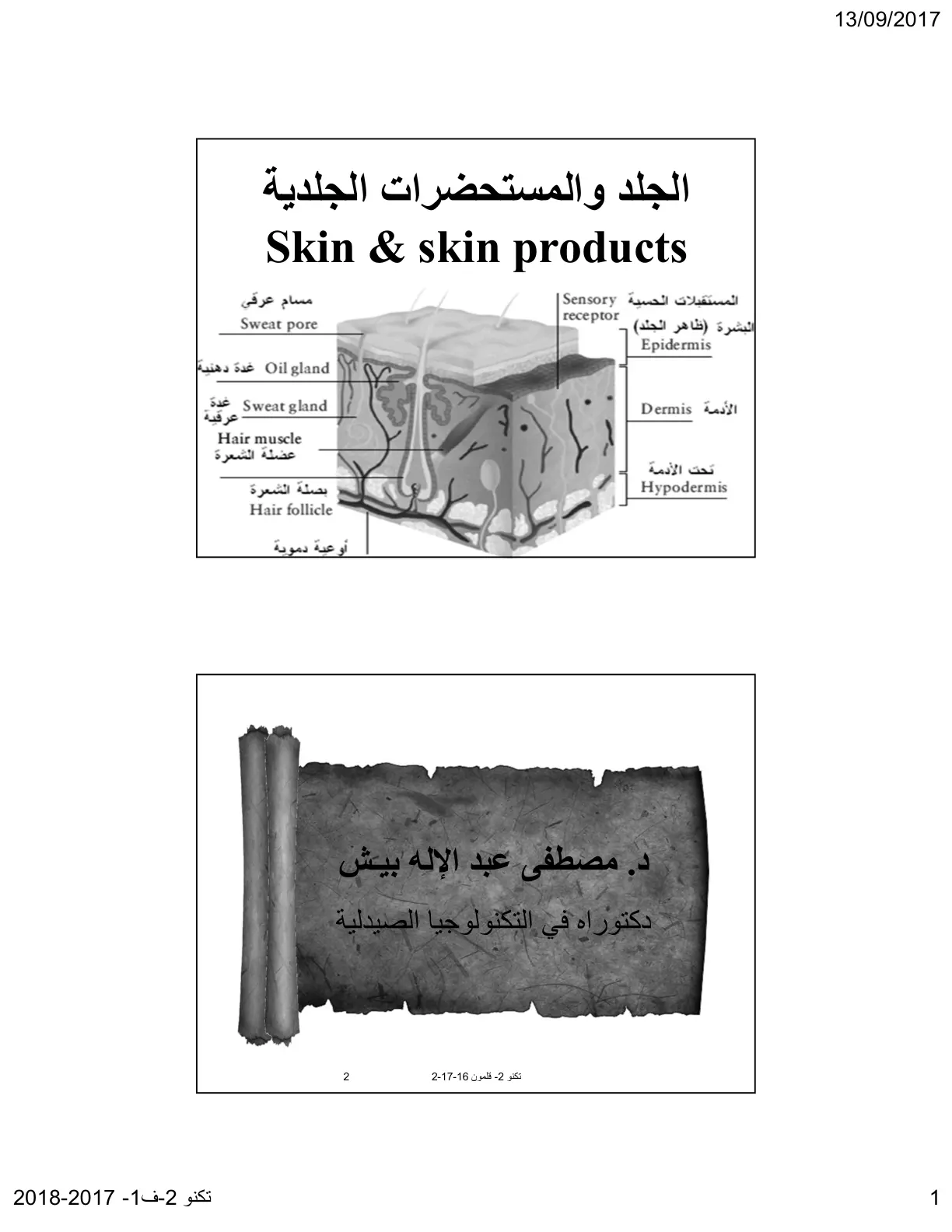غلاف تقرير الجلد والمستحضرات الجلدية
