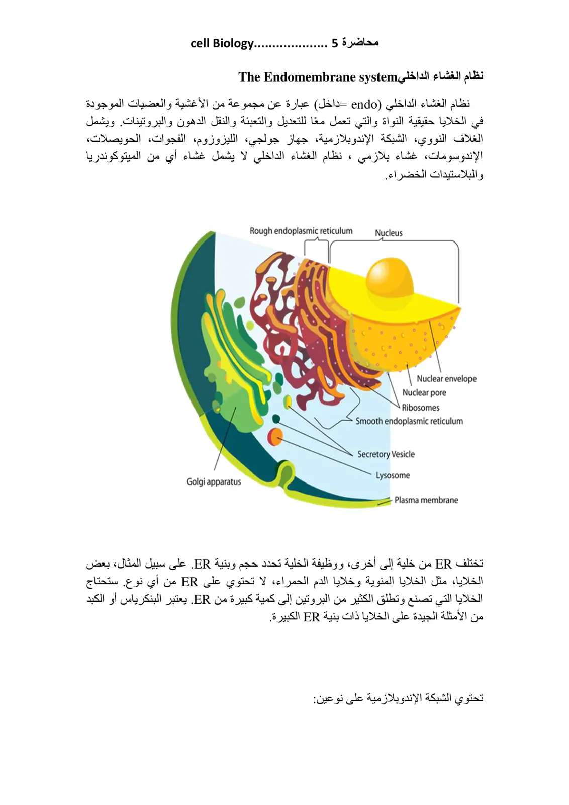 غلاف تقرير نظام الغشاء الداخلي The Endomembrane system