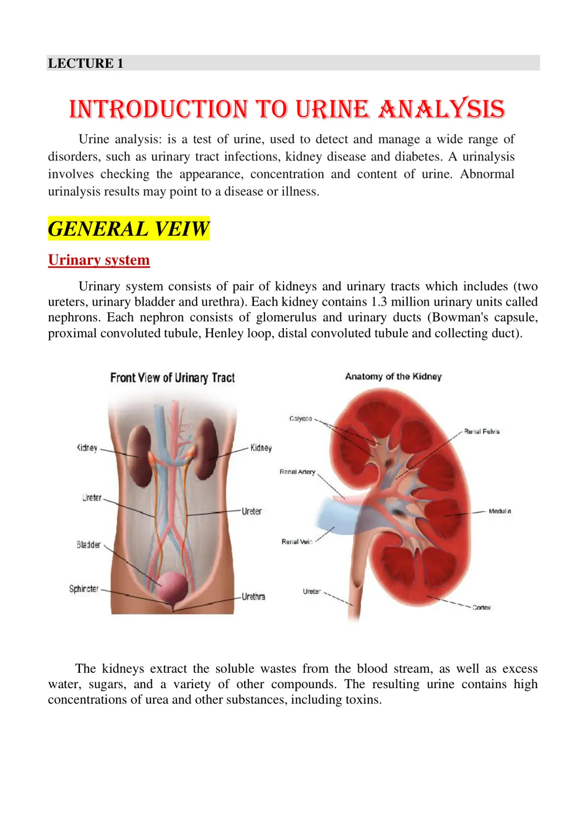 غلاف تقرير Introduction to Urine Analysis