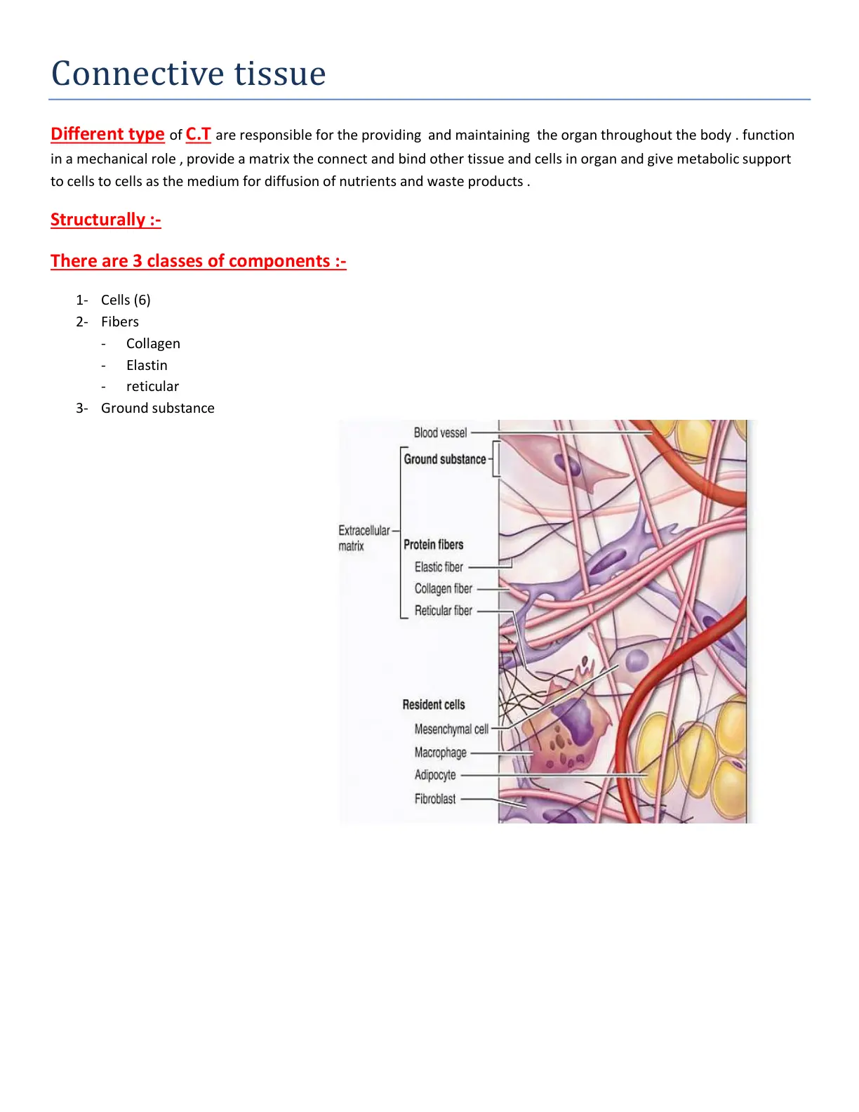 غلاف تقرير Connective tissue
