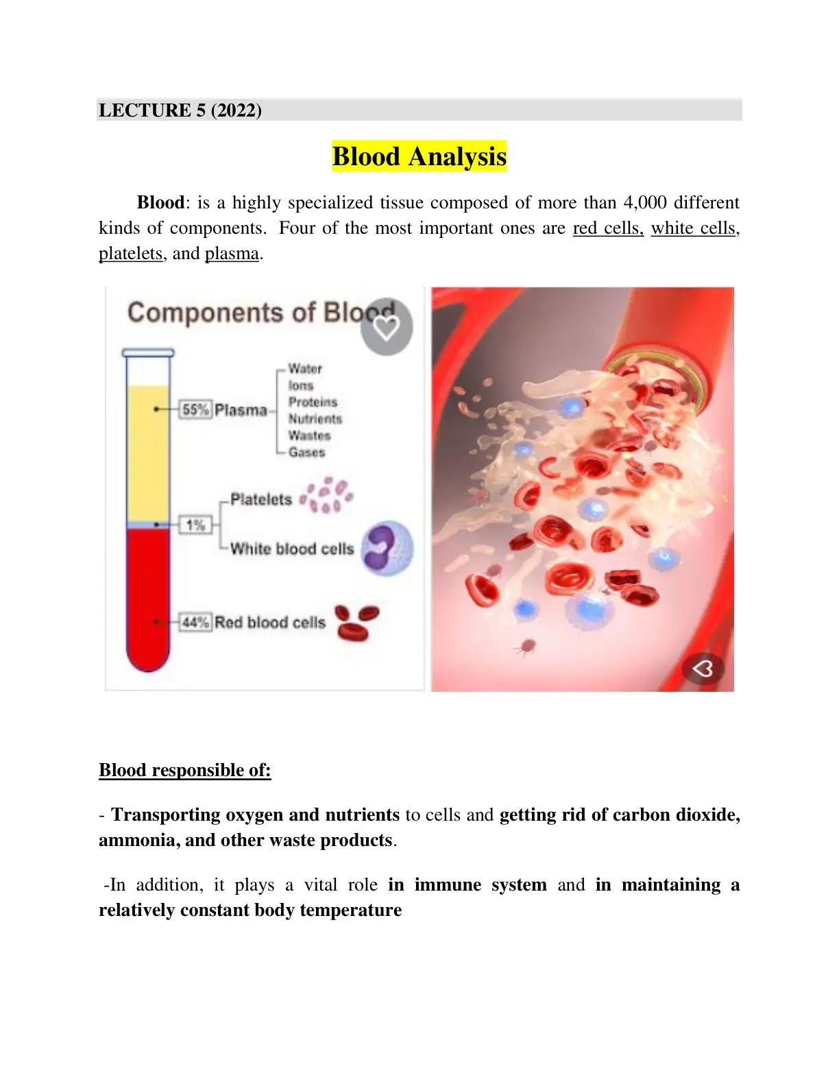 غلاف تقرير Blood Analysis
