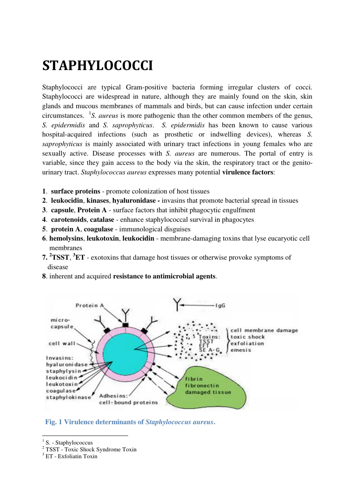 غلاف تقرير STAPHYLOCOCCI