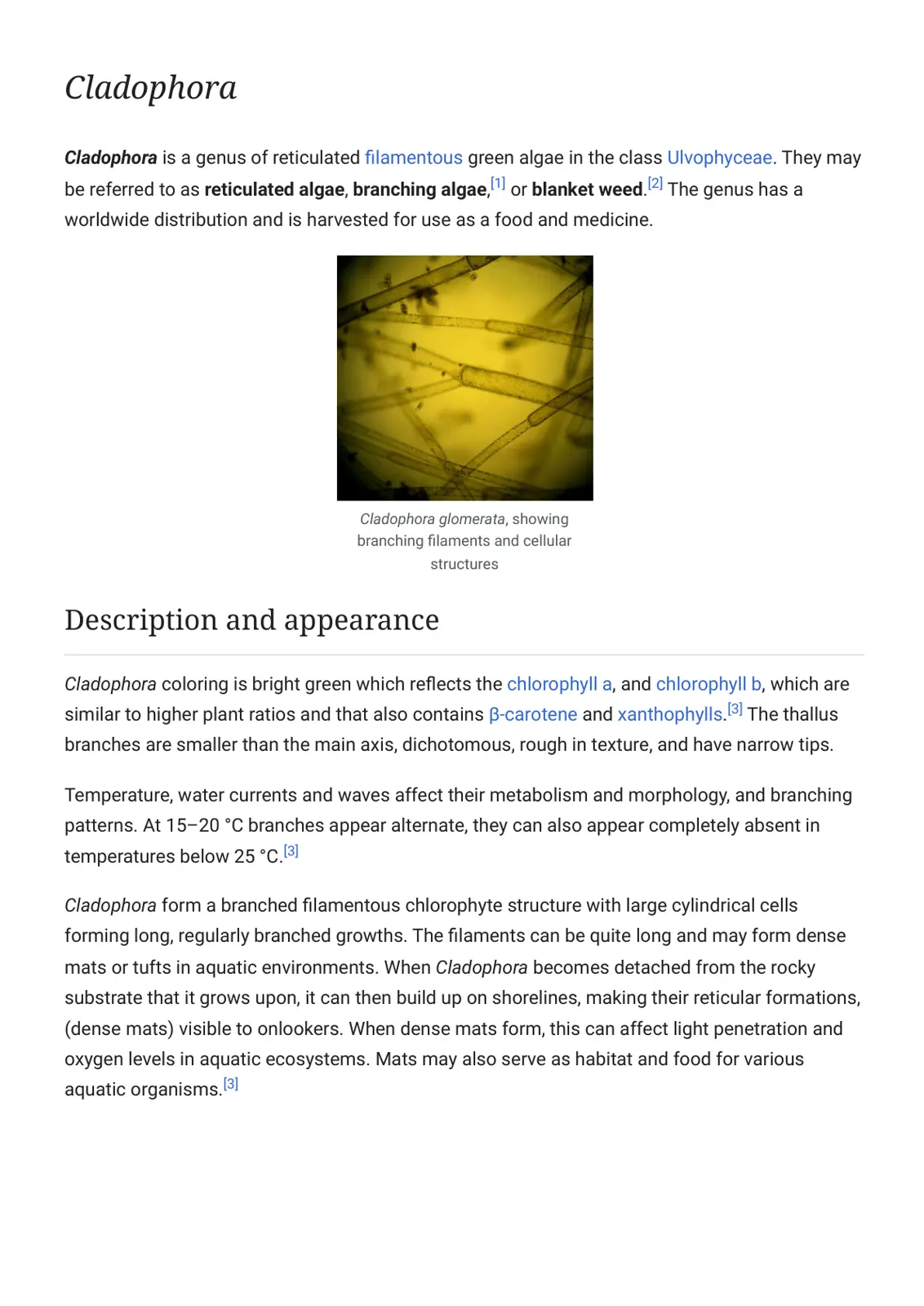 غلاف تقرير Cladophora