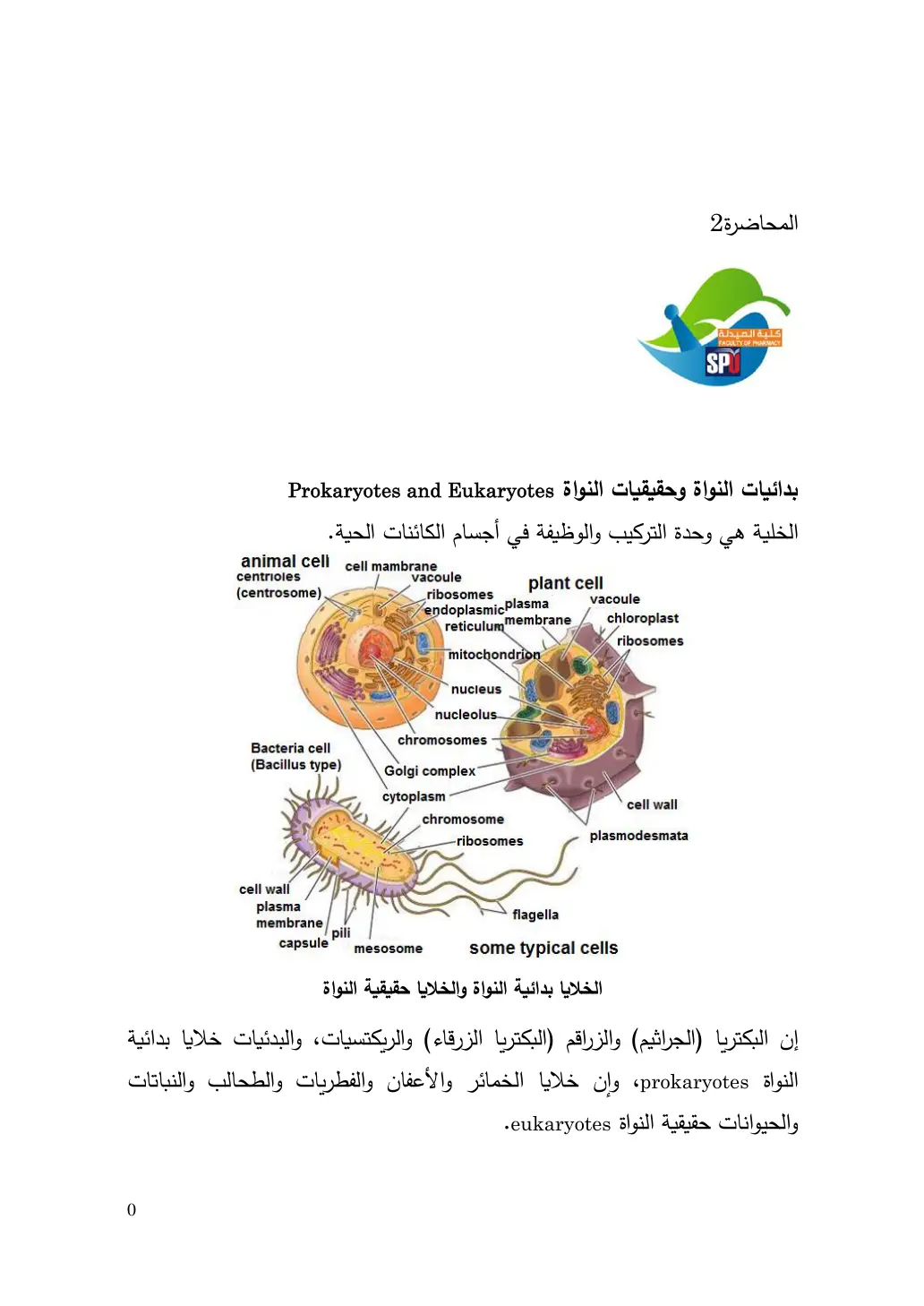 غلاف تقرير المحاضرة 2 – بدائيات النواة وحقيقيات النواة Prokaryotes and Eukaryotes