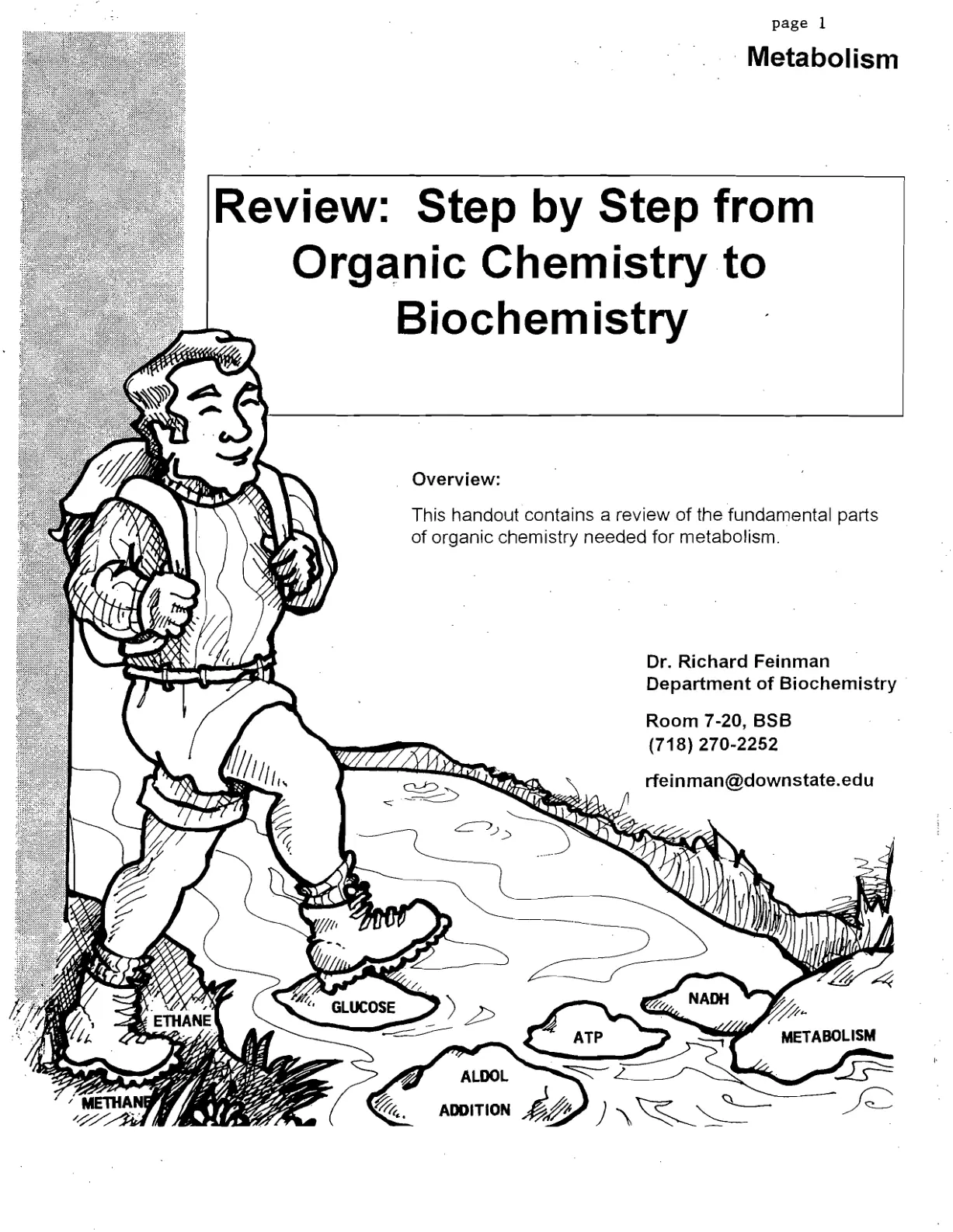 غلاف تقرير Metabolism Review: Step by Step from Organic Chemistry to Biochemistry