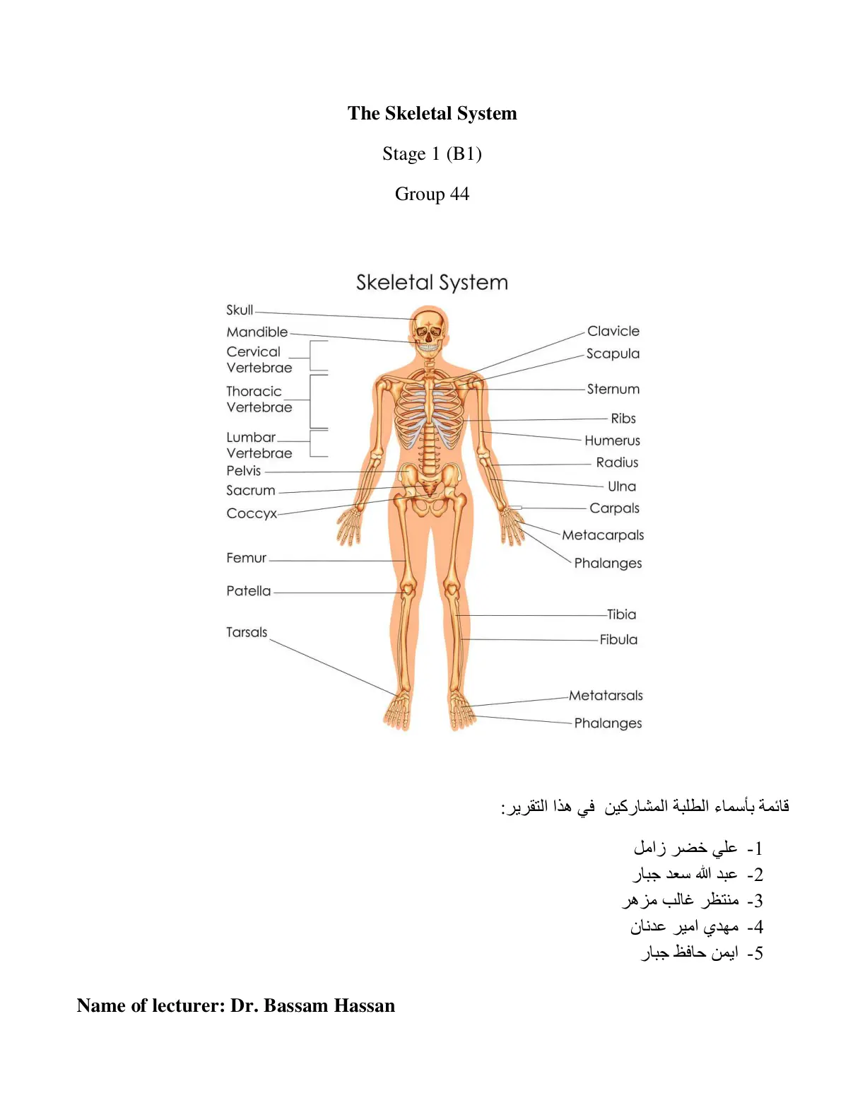 غلاف تقرير The Skeletal System