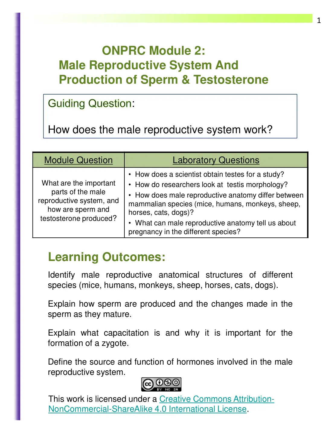 غلاف تقرير ONPRC Module 2: Male Reproductive System And Production of Sperm & Testosterone