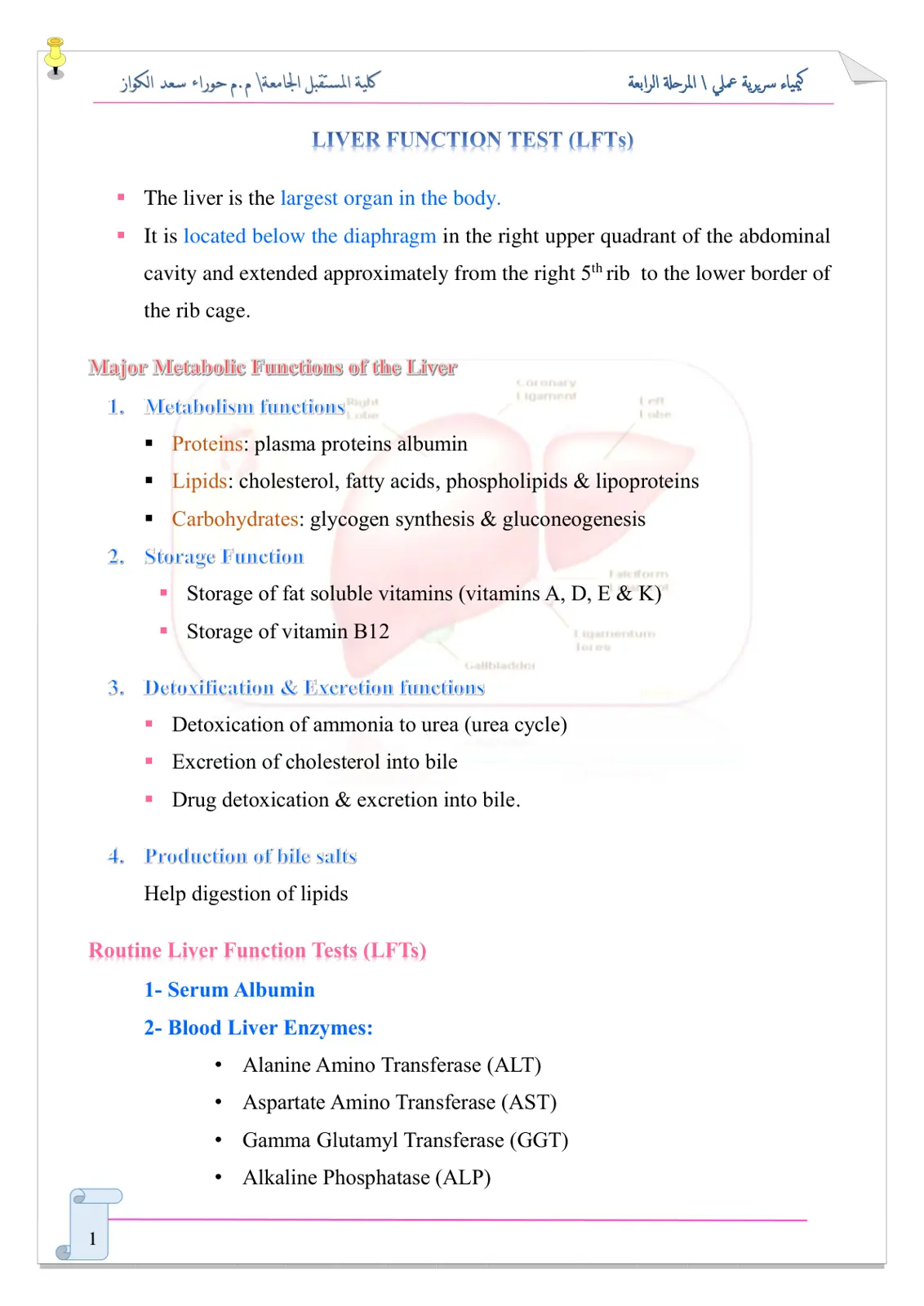 غلاف تقرير LIVER FUNCTION TEST (LFTs)