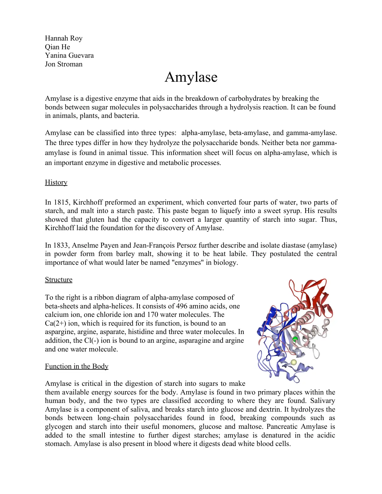 غلاف تقرير Amylase
