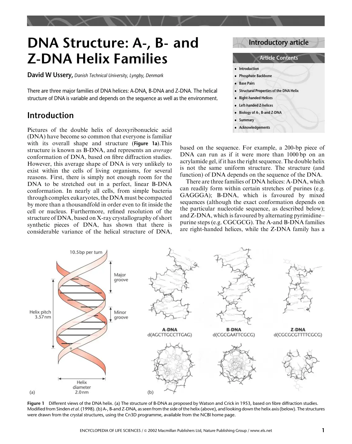 غلاف تقرير DNA Structure: A-, B- and Z-DNA Helix Families