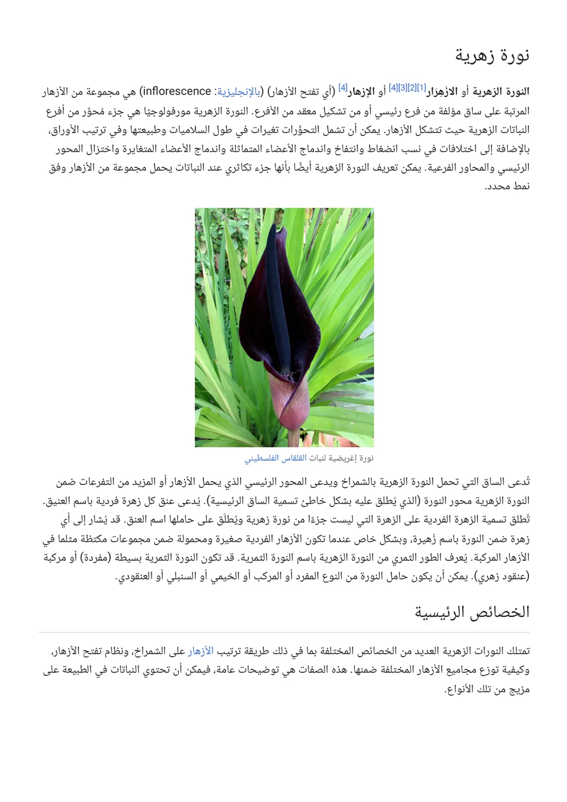 غلاف تقرير النورة الزهرية