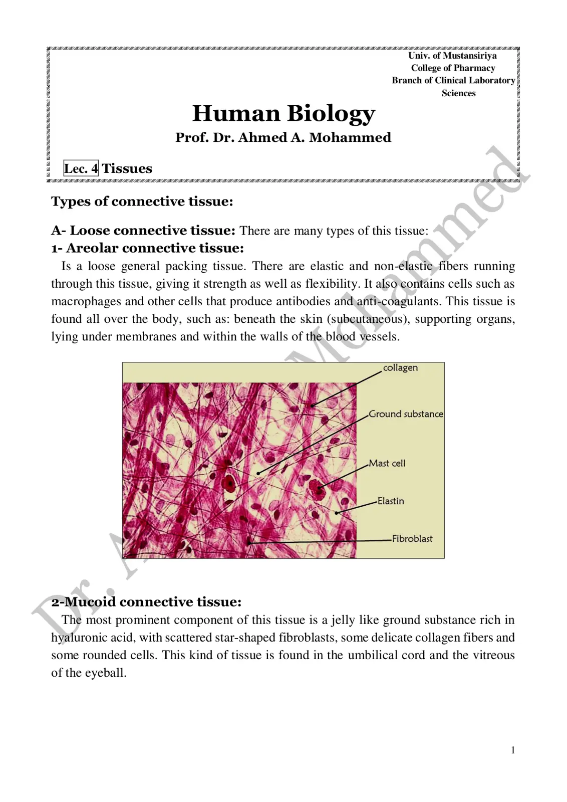 غلاف تقرير Lec. 4 Tissues