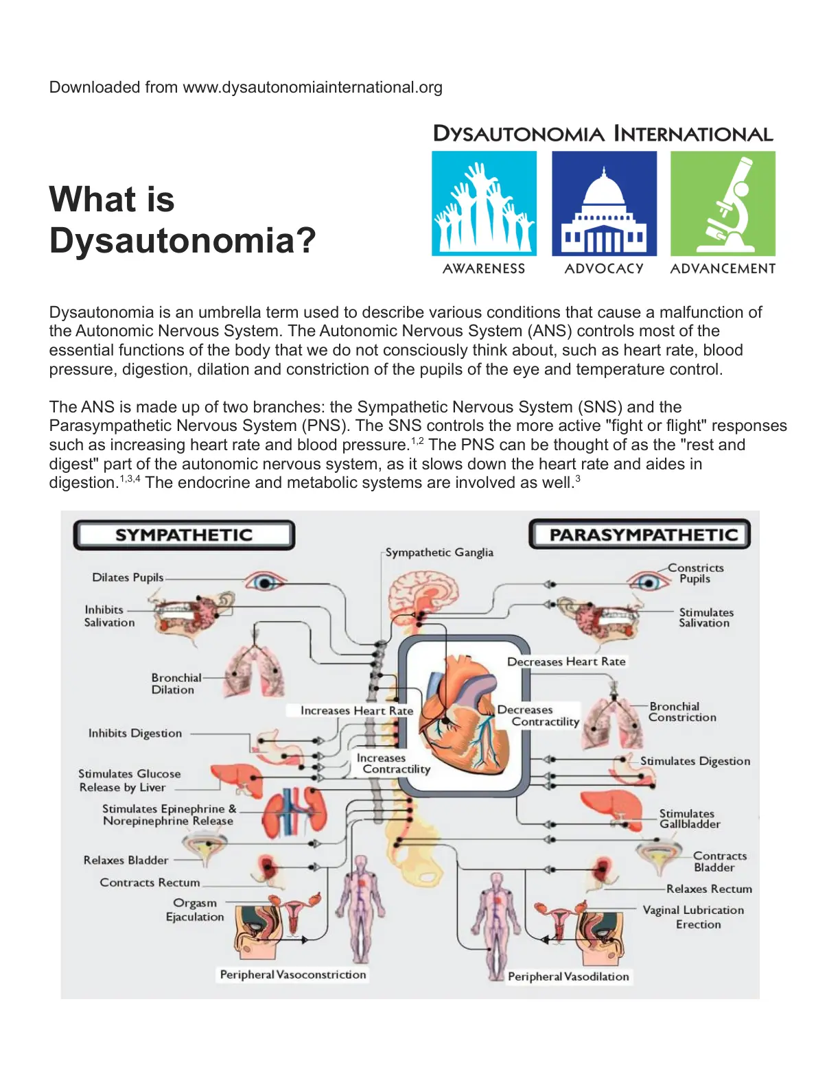 غلاف تقرير What is Dysautonomia?