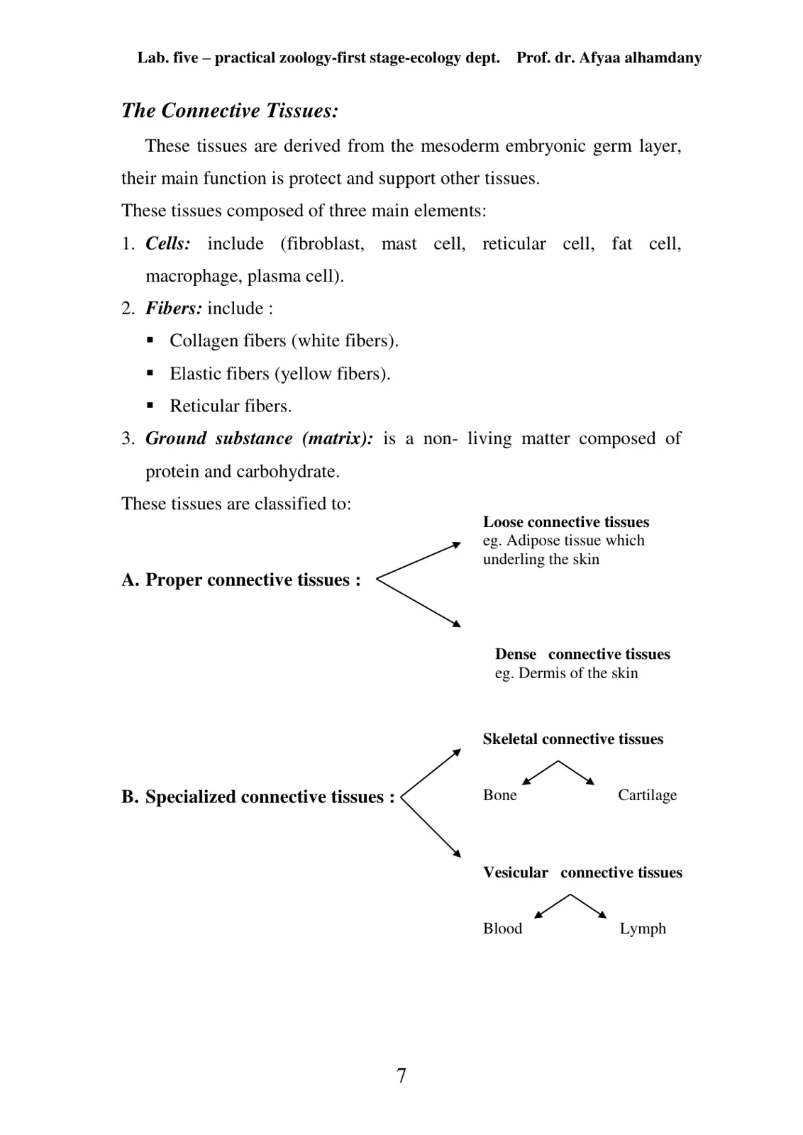 غلاف تقرير The Connective Tissues: