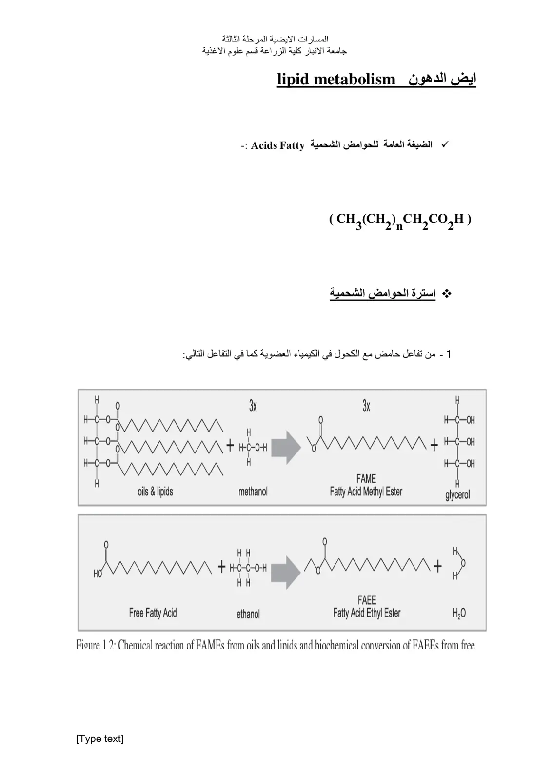 غلاف تقرير ايض الدهون lipid metabolism